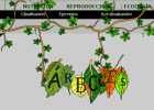 Árboles | Recurso educativo 34935