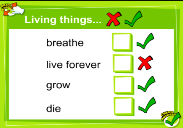 Living and non-living things | Recurso educativo 46139