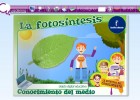 La fotosíntesis | Recurso educativo 47188