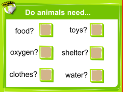 Animal needs | Recurso educativo 47440