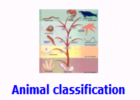 Animal classification | Recurso educativo 48358