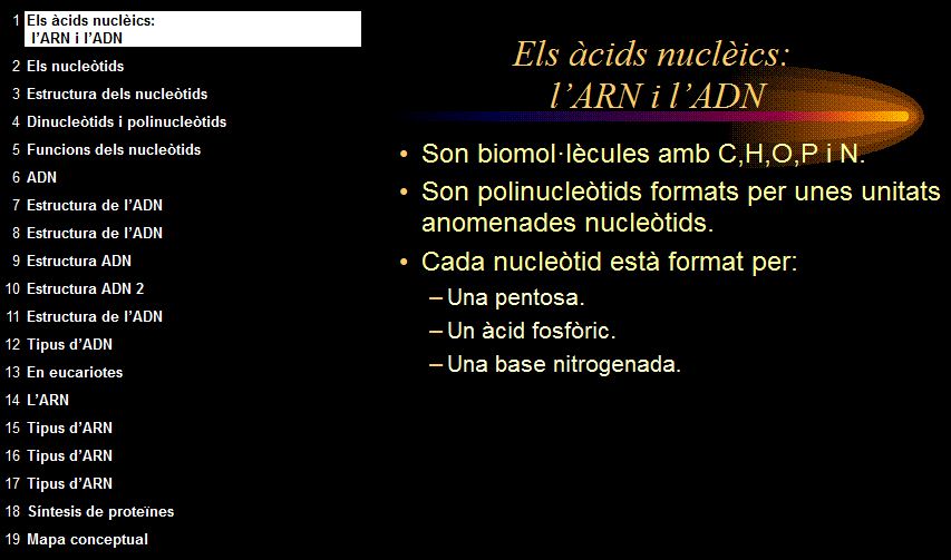 Els àcids nucleics | Recurso educativo 49087