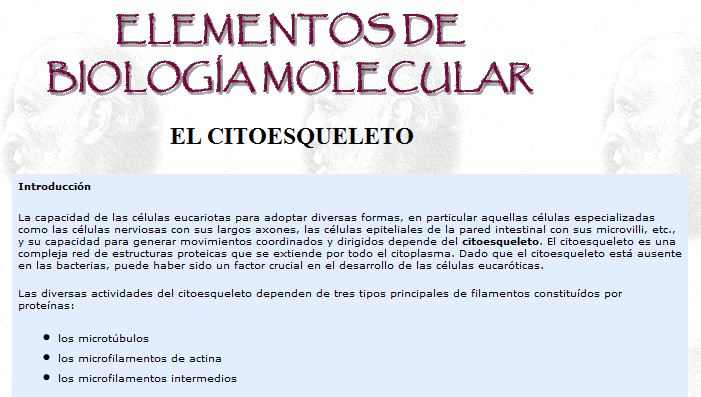 Citoesquelet | Recurso educativo 49797