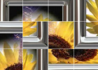 Puzzle interactivo: flor amarilla | Recurso educativo 50650