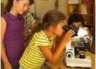 El microscopio óptico | Recurso educativo 52059