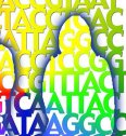 Cinco preguntas básicas sobre el genoma | Recurso educativo 53672