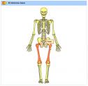 El sistema óseo | Recurso educativo 28523