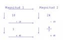 Unidad Didáctica: Magnitudes proporcionales, reparto y porcentajes | Recurso educativo 9031