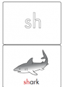 Phonic card: Sh- | Recurso educativo 78804