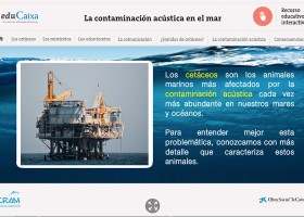 La contaminacion acustica en el mar | Recurso educativo 107247
