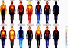 adn-dna: 352- Creado el primer mapa corporal de las emociones | Recurso educativo 114603