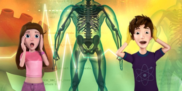 Los sistemas del cuerpo humano | Recurso educativo 403777