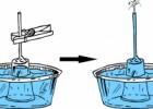 Com es pot construir un brollador d'aigua? | Recurso educativo 626219