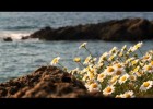 Menorca Reserva de la Biosfera | Recurso educativo 679193