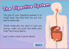 Digestive System - The Children's University of Manchester | Recurso educativo 686059