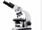 How to Use a Microscope | Recurso educativo 725735