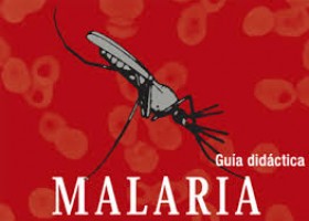 Malaria | Recurso educativo 729325