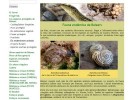 Servei de Protecció d'Espècies - Els endemismes animals | Recurso educativo 733024
