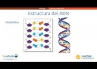 Estructura del ADN | Recurso educativo 742048