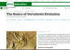 The Basics of Vertebrate Evolution | Recurso educativo 742194