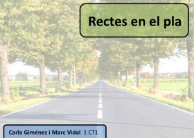 Rectes en el pla | Recurso educativo 742575