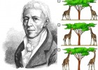 Lamarck: teoria sobre l'evolució | Recurso educativo 745092
