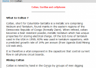 Coltan, Gorillas and cellphones | Recurso educativo 745833