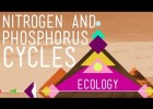 Nitrogen & Phosphorus Cycles - Crash Course Ecology | Recurso educativo 749970