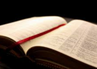 Organisation of the Bible | Recurso educativo 765338
