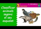 Animals verterbrats | Recurso educativo 768672