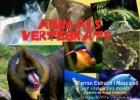 Animals vertebrats | Recurso educativo 768673