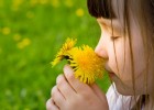 Girl smelling a flower | Recurso educativo 769340