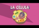La célula y sus partes | Recurso educativo 773644