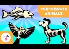 Vertebrate Animals | Recurso educativo 773706