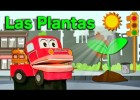 Las plantas | Recurso educativo 787466