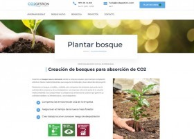 Creació de boscos per a l'absorció de diòxid de carboni | Recurso educativo 7901522