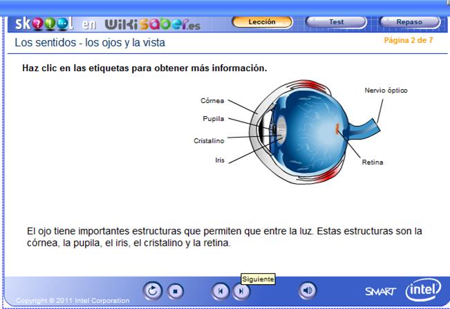 Los sentidos - Los ojos y la vista | Recurso educativo 48401