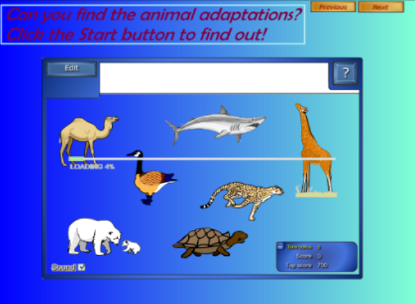 Animal adaptations | Recurso educativo 50511