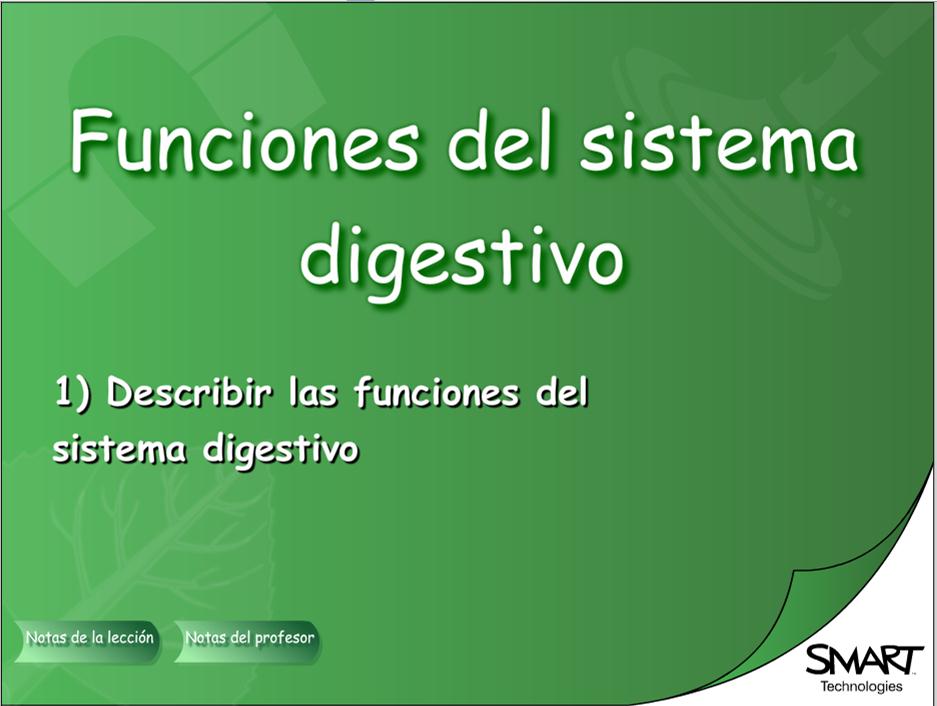 Funciones del sistema digestivo | Recurso educativo 50706