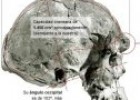 Los cráneos de Homo Sapiens más antiguos | Recurso educativo 50949