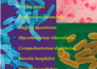 10 Bacterial diseases | Recurso educativo 61249