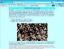 Els minerals | Recurso educativo 13687