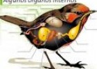 Las partes interiores del pájaro | Recurso educativo 3021