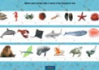 Sea creatures (matching game) | Recurso educativo 9139