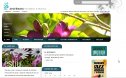 Web del Jardí Botànic de València | Recurso educativo 84582