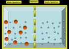 DIFUSIÓN y ÓSMOSIS: membranas celulares | Recurso educativo 102277