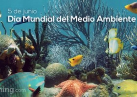 ¡Celebra el Día Mundial del Medio Ambiente! | El Blog de Educación y TIC | Recurso educativo 675200