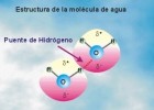 Biomoléculas inorgánicas | Recurso educativo 743609
