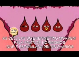 Ciclo Menstrual (Versión animada) | Recurso educativo 725464