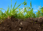 All about soil | Recurso educativo 734900
